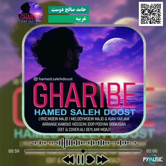 دانلود آهنگ غریبه حامد صالح دوست 1 دانلود آهنگ غریبه حامد صالح دوست